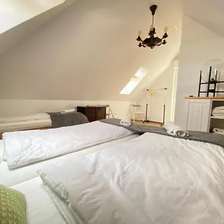 Dandelion Zsálya * Kisapati